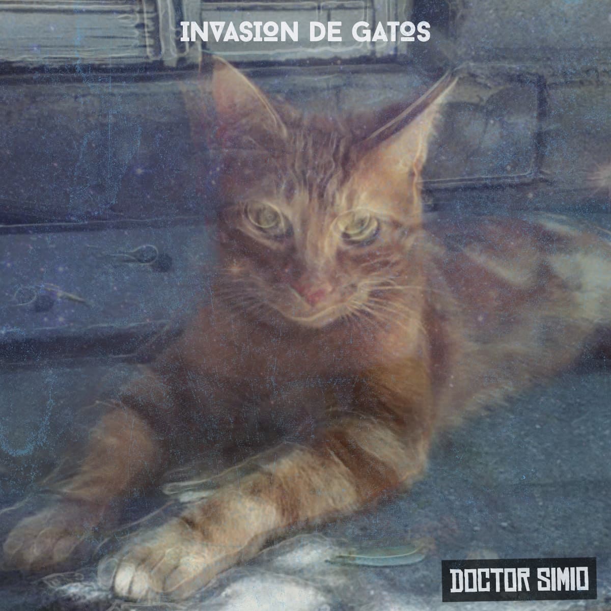 Doctor Simio - Invasión de gatos